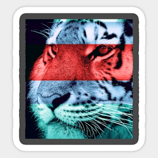 Tiger Portrait Sticker